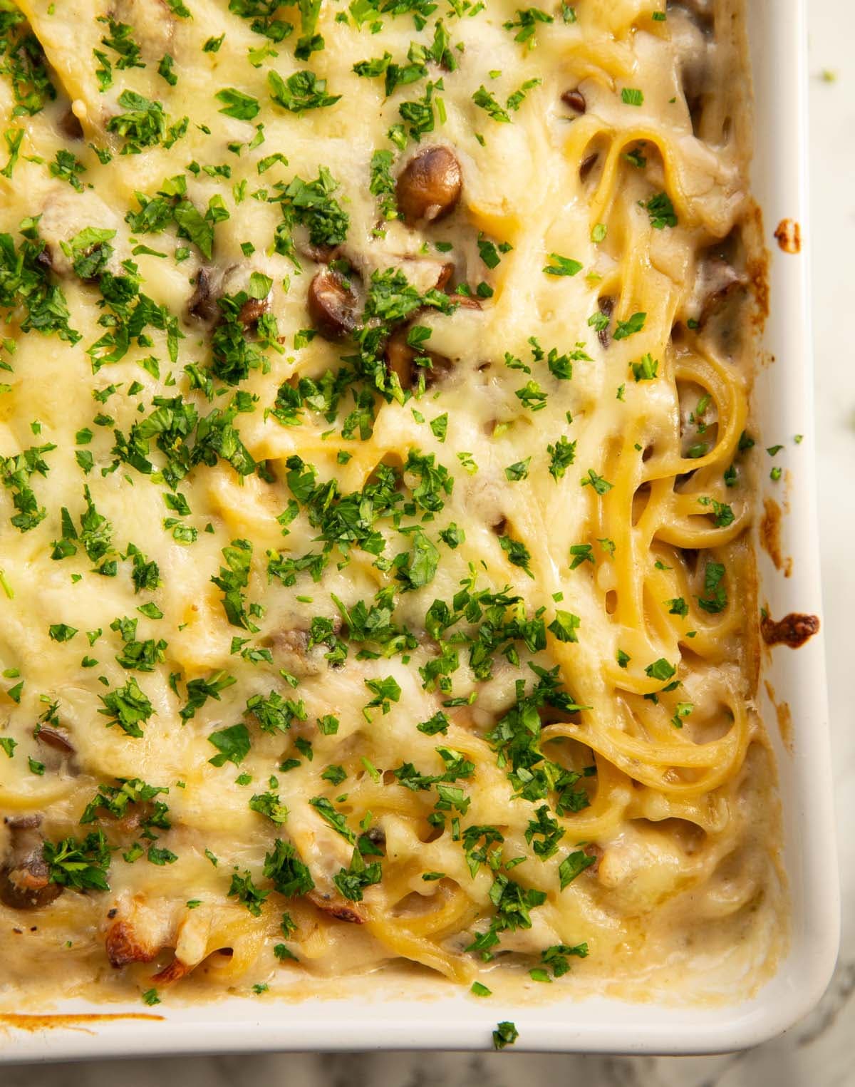 Chicken Tetrazzini with Gouda and Mushrooms